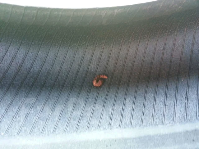 Goodyear Eagle GT2. ������, 2011 ���, �/�, ����� 30 % ����