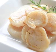 Морской гребешок.
