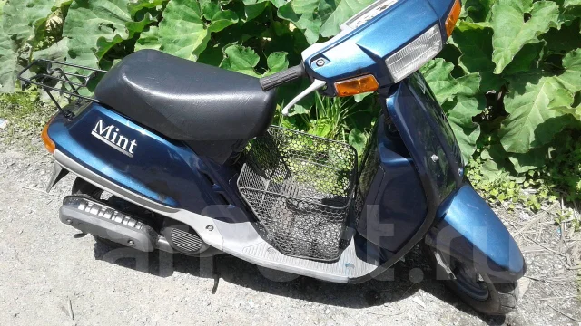 Yamaha Mint. 49����. ��., ��������, ���������, ��� ������� ����