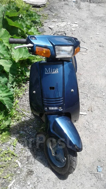 Yamaha Mint. 49����. ��., ��������, ���������, ��� ������� ����