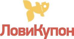 Контент-менеджер. LLC Primnet. Остановка Авангард
