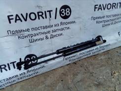 Амортизатор двери багажника. Toyota Corolla Fielder, NZE124, CE121, ZZE124, ZZE123, ZZE122, NZE120, NZE121