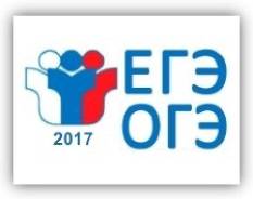 Репетиторы по информатике.