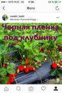 Пленки полиэтиленовые.
