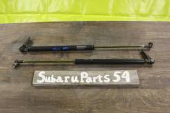 Амортизатор двери багажника. Subaru Forester, SG5, SG9, SG, SG69, SG9L