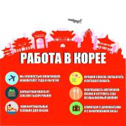 Работа хостес в Корее, прямой работодатель, большая з/п, лучшие клубы!