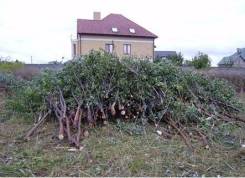 Раскорчуем участок , спилим любые деревья , отсыпим дорогу