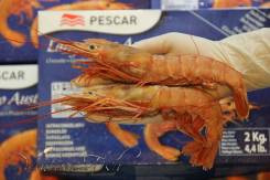 Лангустины L1 10/20. Самые крупные. Морепродукты