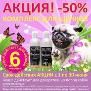 Груминг.