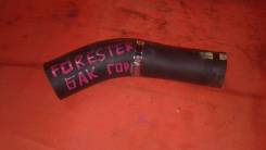Трубка топливная. Subaru Forester, SG5, SG9, SG9L Subaru Impreza, GD2, GD3, GD9, GDA, GDB, GDC, GDD, GG2, GG3, GG9, GGA, GGB, GGC, GGD Двигатели: EJ20...