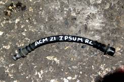 Шланг тормозной. Toyota Ipsum, ACM21, ACM21W Двигатель 2AZFE