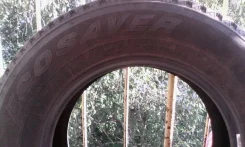 Sagitar P609. ������, 2013 ���, �/�, ����� 5�%
