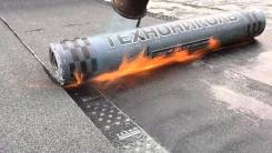 Биполь.