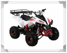 Atv Raptor 125 cc, 2017. исправен, без птс, без пробега