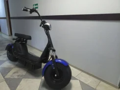 CityCoCo. ��������, ��� ���, ��� ������� ����