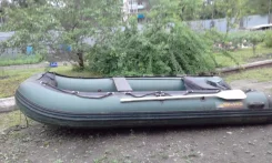 Mercury. ��������� ���������, ������ ����