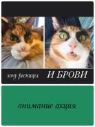 Ламинирование ресниц.