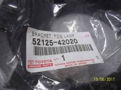 Крепление противотуманной фары. Toyota RAV4, ACA38, ACA36, GSA33, ALA30, ACA30, ACA31, GSA38, ACA33 Toyota Isis, ANM10, ANM15, ZGM10, ZGM11, ZNM10, ZG...