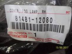 Лампа подсветки приборной панели. Toyota Corolla, CE140, ZRE142, ZRE151, ZRE152, NDE150, ZZE150, ZZE141, ZZE142, ADE150, NZE141 Двигатели: 1ZRFE, 2ZRF...