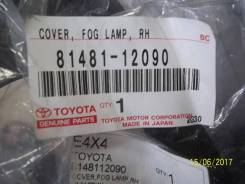 Лампа подсветки приборной панели. Toyota Corolla, CE140, ZRE142, ZRE151, ZRE152, NDE150, ZZE150, ZZE141, ZZE142, ADE150, NZE141 Двигатели: 1ZRFE, 2ZRF...