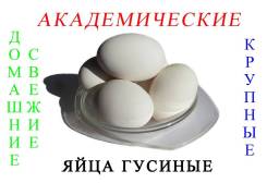 Гуси.