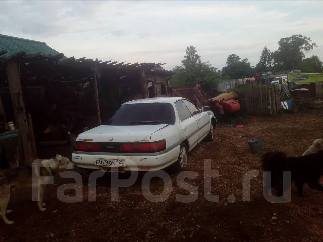 Toyota Carina ED. ��������, ��������, 2.0 (132��.�.), ������ ����