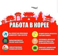 Работа в Корее.
