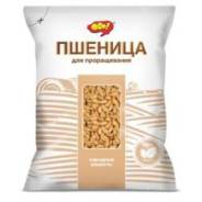 Пшеница.