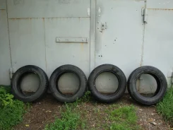 Dunlop Monza 200R. ������, �/�, ����� 60�%. ��� ����� ����