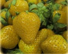 Клубника.
