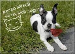 Шугаринг.