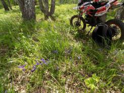Irbis TTR 125. 125 куб. см., исправен, без птс, с пробегом