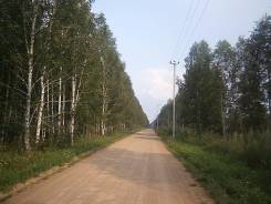 Участок 13 сот ДНТ "Индия". 1 300 кв. м., собственность, электричество, вода, от частного лица (собственник)