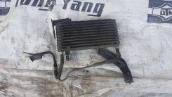 Радиатор акпп. Nissan Elgrand, ALWE50, APWE50, AVWE50, ATWE50