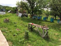 Пчелохозяйство продам