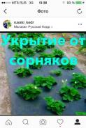 Агротекс.