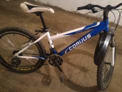 Corvus