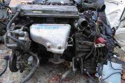 Toyota Corolla Ceres