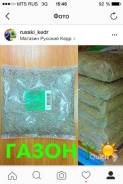 Газон, газонная трава.