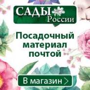 Растения, саженцы, семена. Под заказ