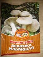 Вешенки.