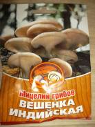Вешенки.