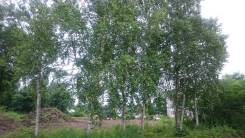 Продам участок с новым домом Соловей ключ снт. Мотор. От частного лица (собственник). Фото участка