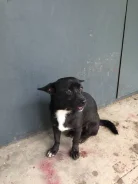 ������. ����