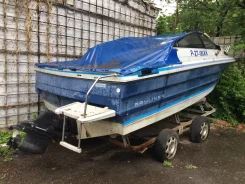 Bayliner. 1993 ���, ��������� ������������, 200��.�., ������ ����