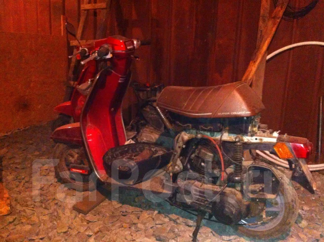 Suzuki Ran. ��� ���, ������ �� �� ����
