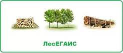 Помощь в ведении системы Лесегаис