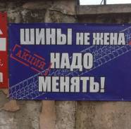 Toyo Tranpath A14. Летние, без износа, 1 шт