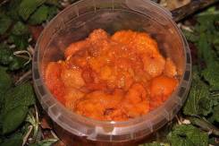 Морской еж.