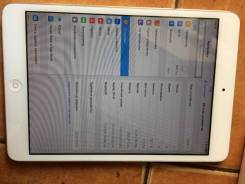 Apple iPad mini Wi-Fi 16Gb